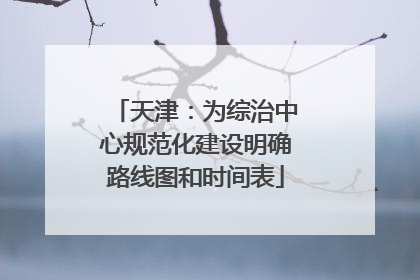 天津：为综治中心规范化建设明确路线图和时间表