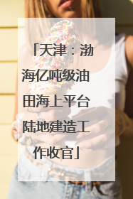 天津：渤海亿吨级油田海上平台陆地建造工作收官
