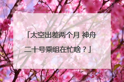 太空出差两个月 神舟二十号乘组在忙啥？