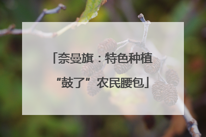 奈曼旗：特色种植“鼓了”农民腰包