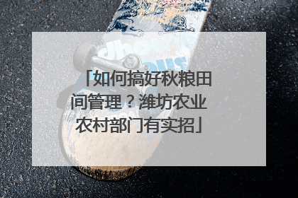 如何搞好秋粮田间管理？潍坊农业农村部门有实招