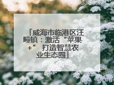 威海市临港区汪疃镇：激活“苹果+” 打造智慧农业生态圈