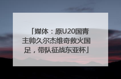 媒体：原U20国青主帅久尔杰维奇救火国足，带队征战东亚杯