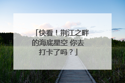 快看！荆江之畔的海底星空 你去打卡了吗？