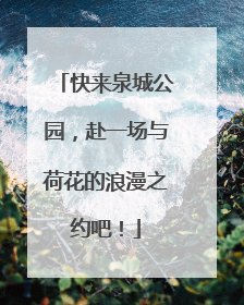 快来泉城公园，赴一场与荷花的浪漫之约吧！