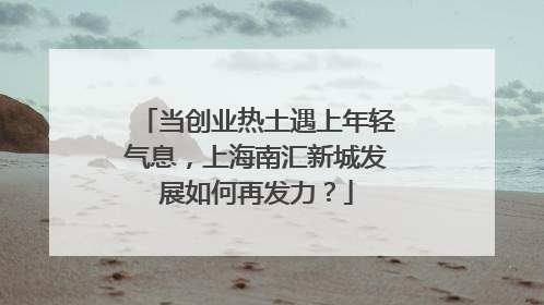 当创业热土遇上年轻气息，上海南汇新城发展如何再发力？
