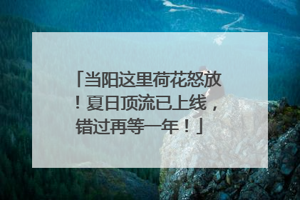 当阳这里荷花怒放！夏日顶流已上线，错过再等一年！