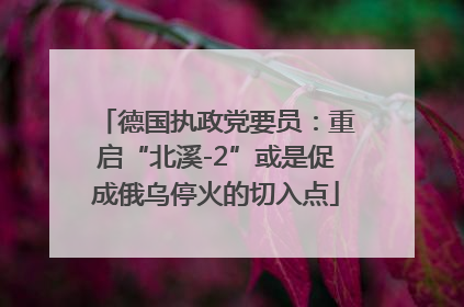 德国执政党要员：重启“北溪-2”或是促成俄乌停火的切入点