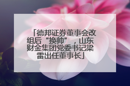 德邦证券董事会改组后“换帅”，山东财金集团党委书记梁雷出任董事长