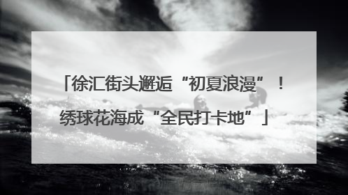 徐汇街头邂逅“初夏浪漫”！绣球花海成“全民打卡地”