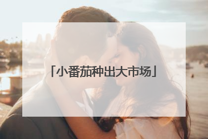 小番茄种出大市场
