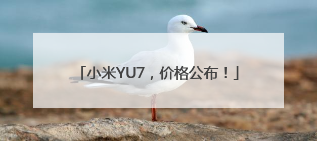 小米YU7，价格公布！