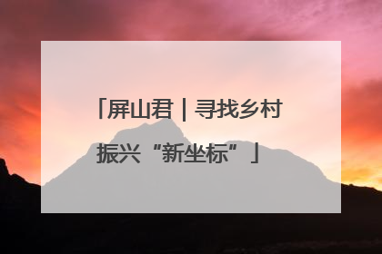 屏山君｜寻找乡村振兴“新坐标”