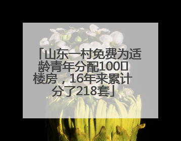 山东一村免费为适龄青年分配100㎡楼房，16年来累计分了218套
