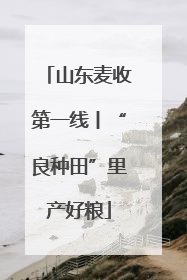 山东麦收第一线丨“良种田”里产好粮