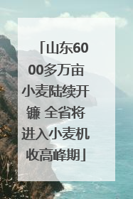 山东6000多万亩小麦陆续开镰 全省将进入小麦机收高峰期