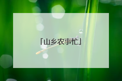 山乡农事忙