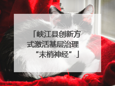峡江县创新方式激活基层治理“末梢神经”