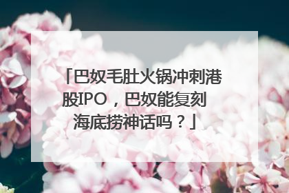 巴奴毛肚火锅冲刺港股IPO，巴奴能复刻海底捞神话吗？
