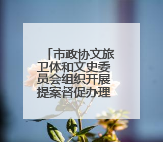 市政协文旅卫体和文史委员会组织开展提案督促办理协商活动