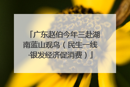 广东赵伯今年三赴湖南蓝山观鸟（民生一线·银发经济促消费）