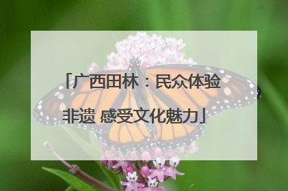 广西田林：民众体验非遗 感受文化魅力