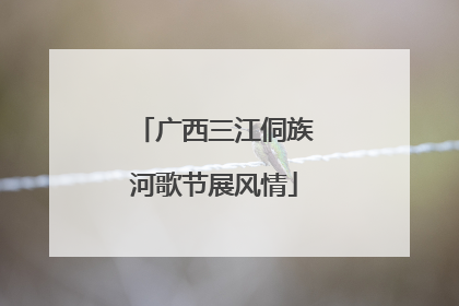 广西三江侗族河歌节展风情