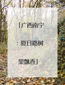 广西南宁：夏日路树果飘香