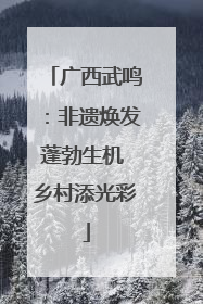 广西武鸣：非遗焕发蓬勃生机 乡村添光彩
