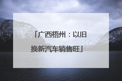 广西梧州：以旧换新汽车销售旺