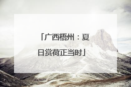 广西梧州：夏日赏荷正当时