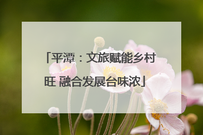 平潭：文旅赋能乡村旺 融合发展台味浓