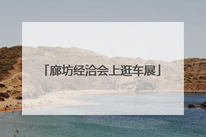 廊坊经洽会上逛车展