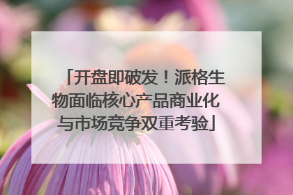 开盘即破发！派格生物面临核心产品商业化与市场竞争双重考验