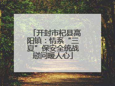 开封市杞县高阳镇：情系“三夏”保安全统战慰问暖人心