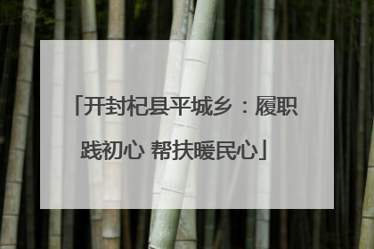 开封杞县平城乡：履职践初心 帮扶暖民心