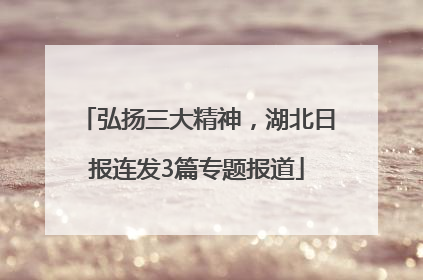 弘扬三大精神，湖北日报连发3篇专题报道