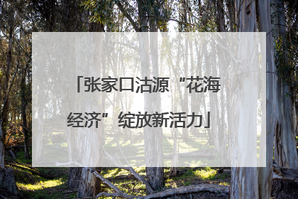 张家口沽源“花海经济”绽放新活力