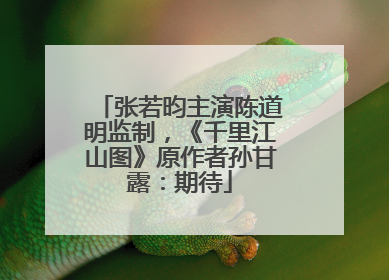 张若昀主演陈道明监制，《千里江山图》原作者孙甘露：期待