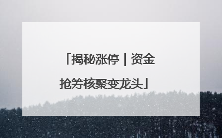 揭秘涨停｜资金抢筹核聚变龙头