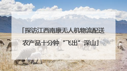 探访江西南康无人机物流配送 农产品十分钟“飞出”深山