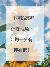探访高考评卷现场：让每一分有理有据