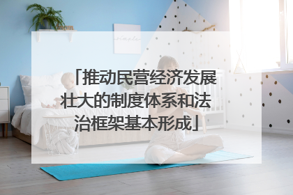 推动民营经济发展壮大的制度体系和法治框架基本形成