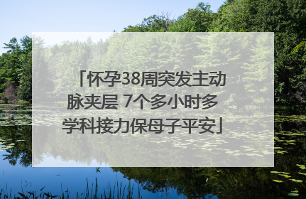 怀孕38周突发主动脉夹层 7个多小时多学科接力保母子平安