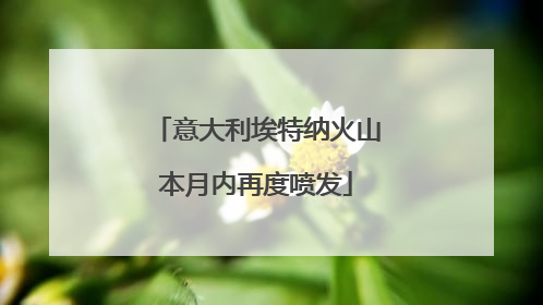 意大利埃特纳火山本月内再度喷发