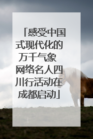 感受中国式现代化的万千气象 网络名人四川行活动在成都启动