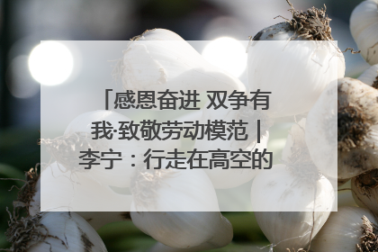 感恩奋进 双争有我·致敬劳动模范｜李宁：行走在高空的“电网卫士”