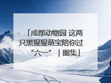 成都动物园 这两只黑猩猩萌宝陪你过“六一”｜图集