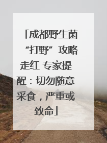 成都野生菌“打野”攻略走红 专家提醒：切勿随意采食，严重或致命
