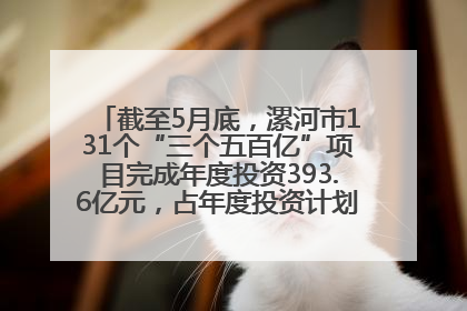 截至5月底，漯河市131个“三个五百亿”项目完成年度投资393.6亿元，占年度投资计划的50.41%——“三个五百亿”项目带动产业提质升级